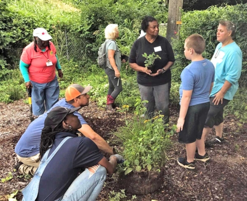 Several people crouch in a garden bed around an uprooted plant.