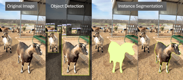 Goat AI detection graphic