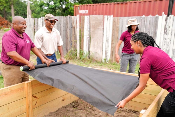 People making raised beds.