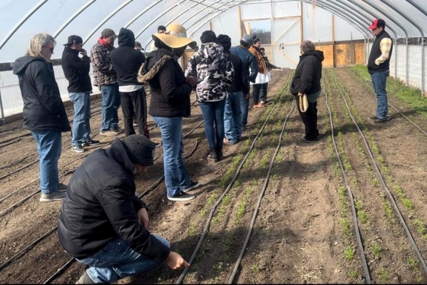 Farmers take part in a learning session.