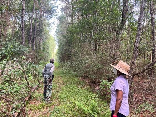 Farmers in the forest.