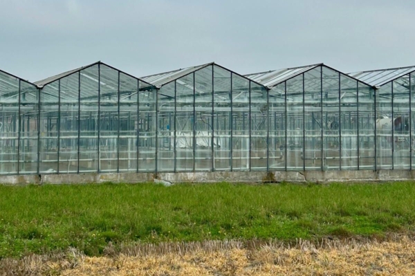 Hoop houses