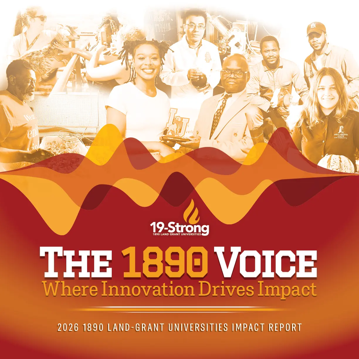 2026 AEA Impact Publication cover image